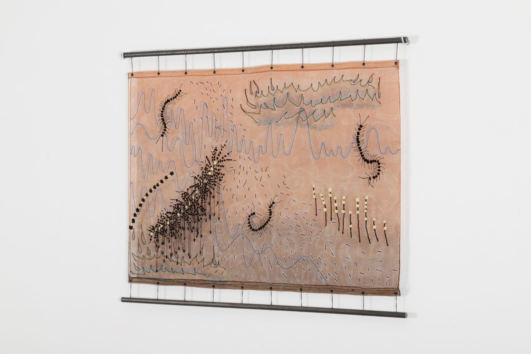 Vivian Caccuri, Lacraia 1, 2022