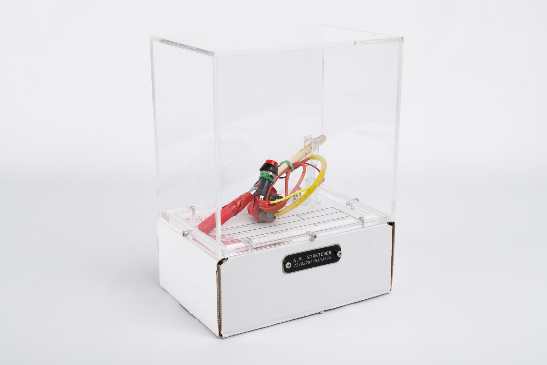 ABRE ALAS #18, Ana Mohallem, AM Stretcher, 2022