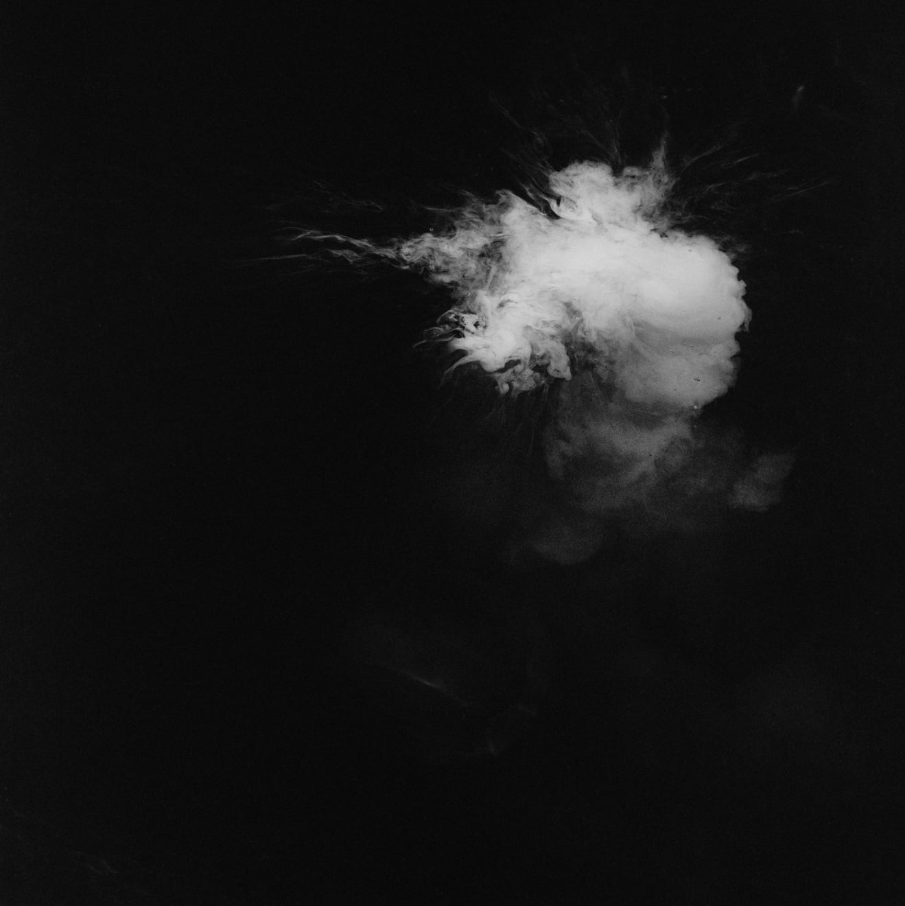 Maria Laet, Sustentação (II), 2010/2020