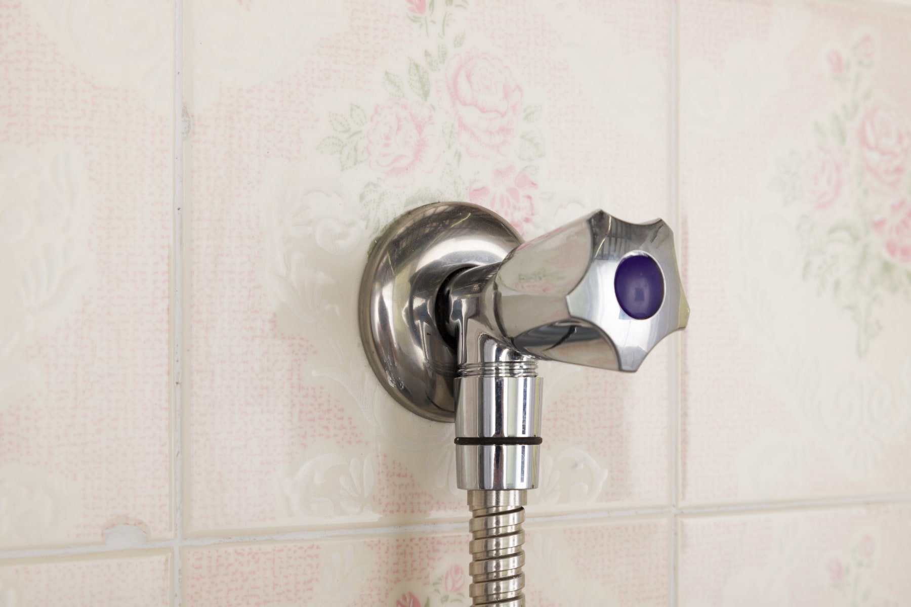 Aleta Valente, Fonte / Primeiro Amor, 2024