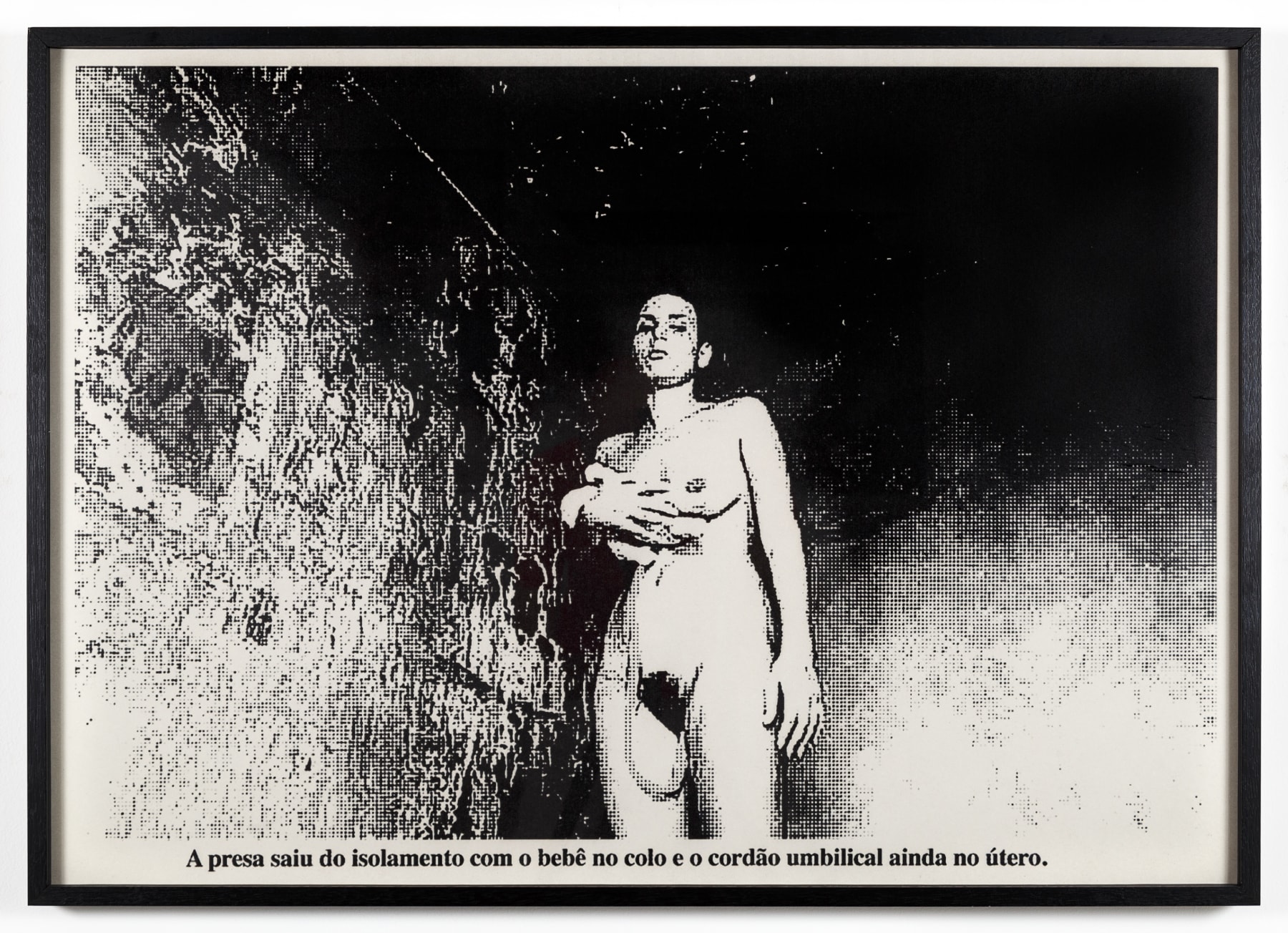 Aleta Valente, Bárbara, 2019