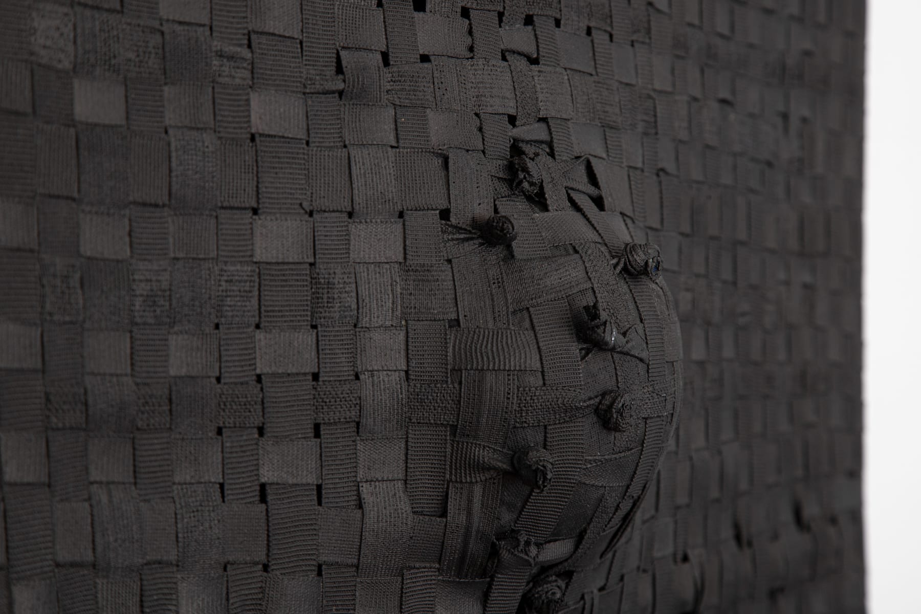 Jarbas Lopes, Pintura Elástica, 2023