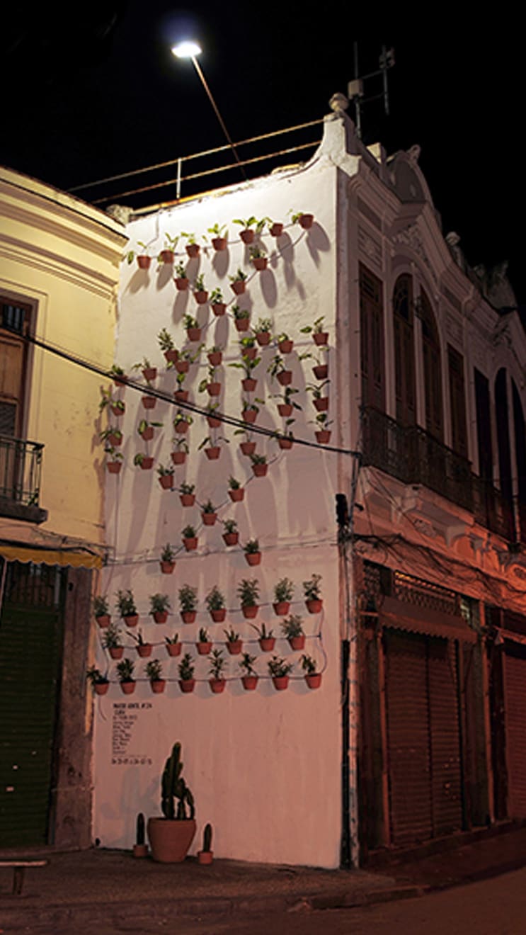 Parede Gentil, Nº 24 Cura , 2015