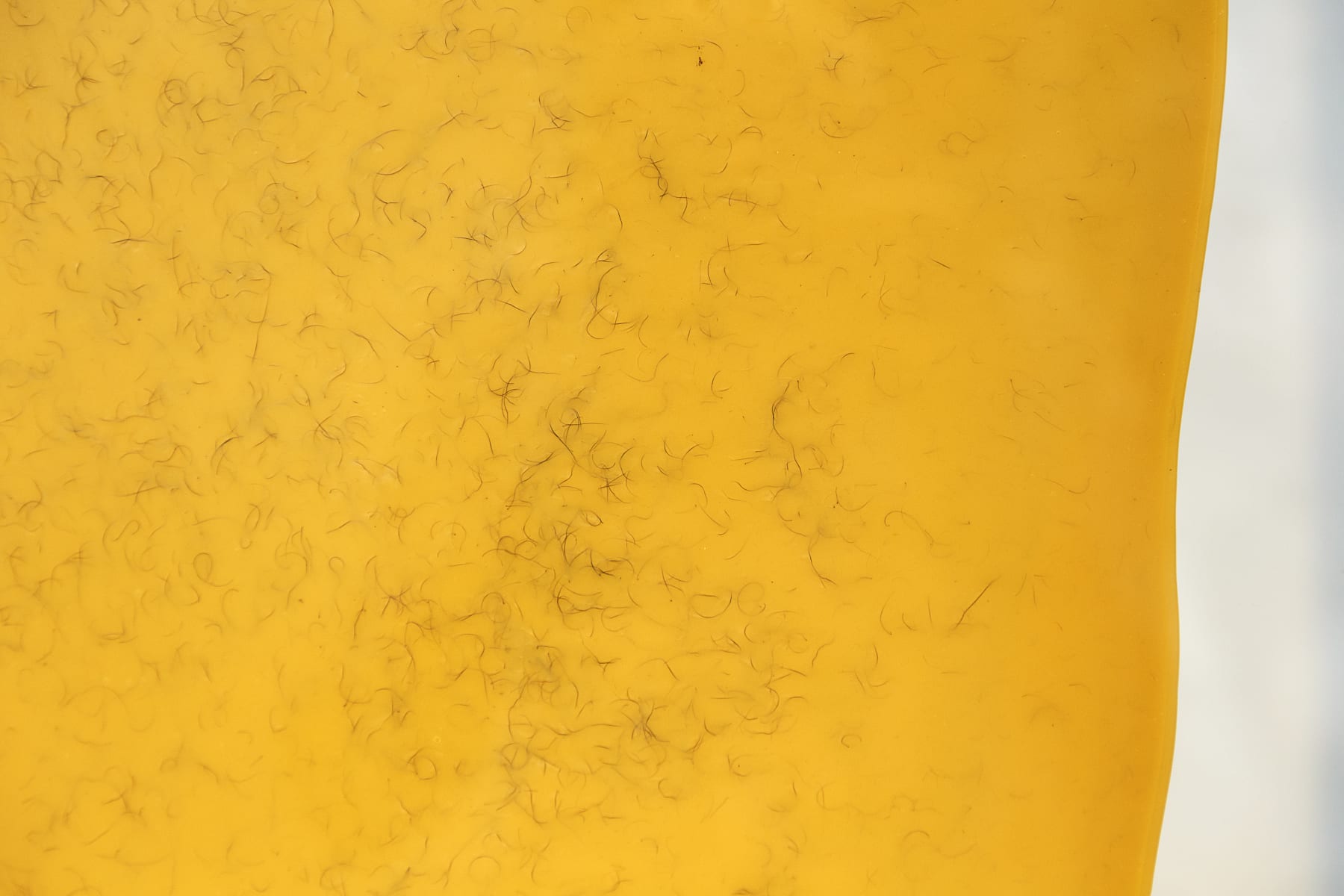 Aleta Valente, Brazilian Wax, 2019