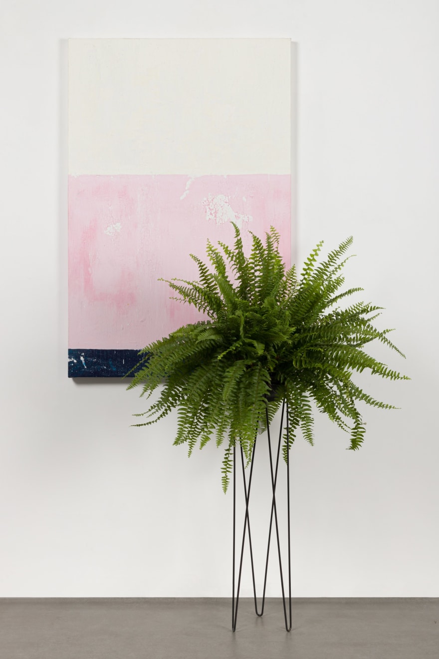 Rose Afefé, Do quintal de vovó Julia, 2025