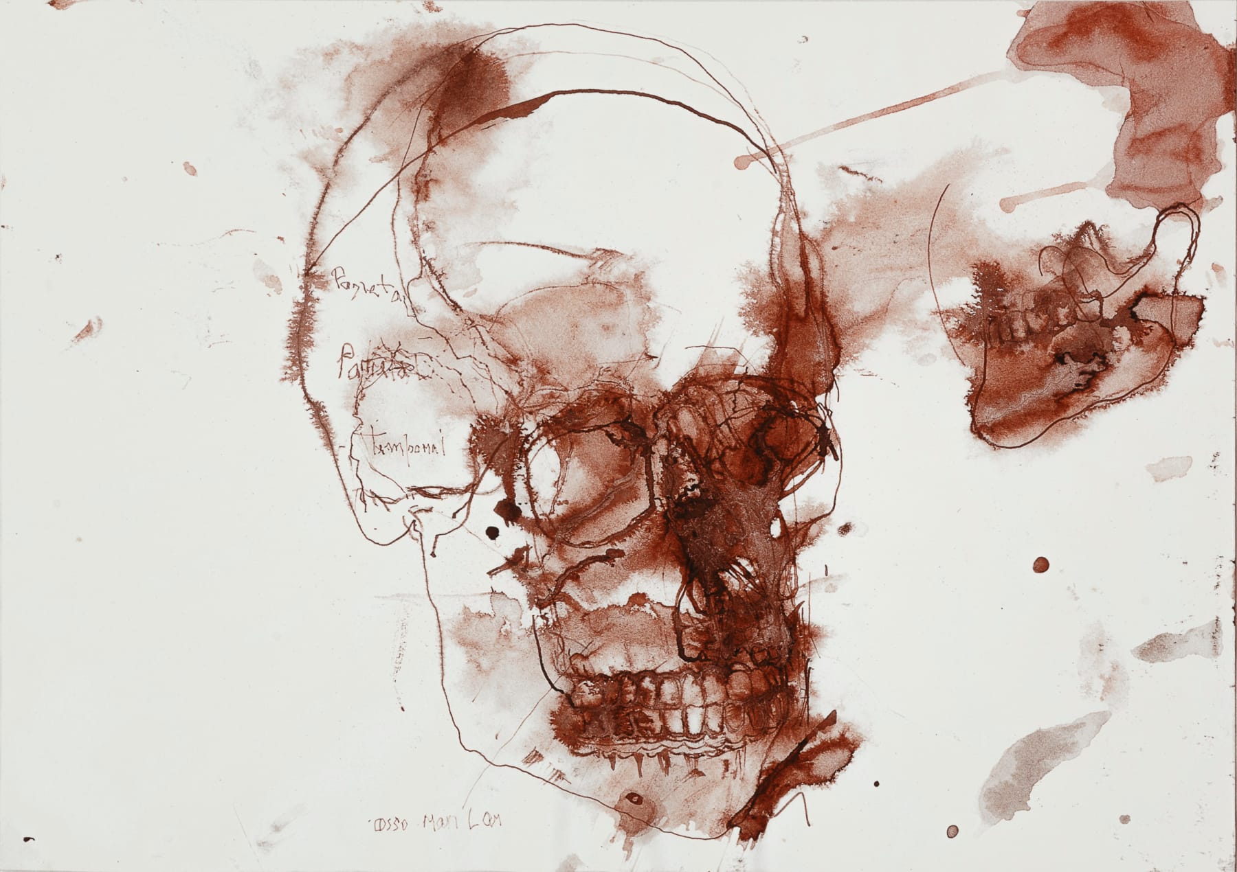 Arjan Martins, sem título [untitled], 2002