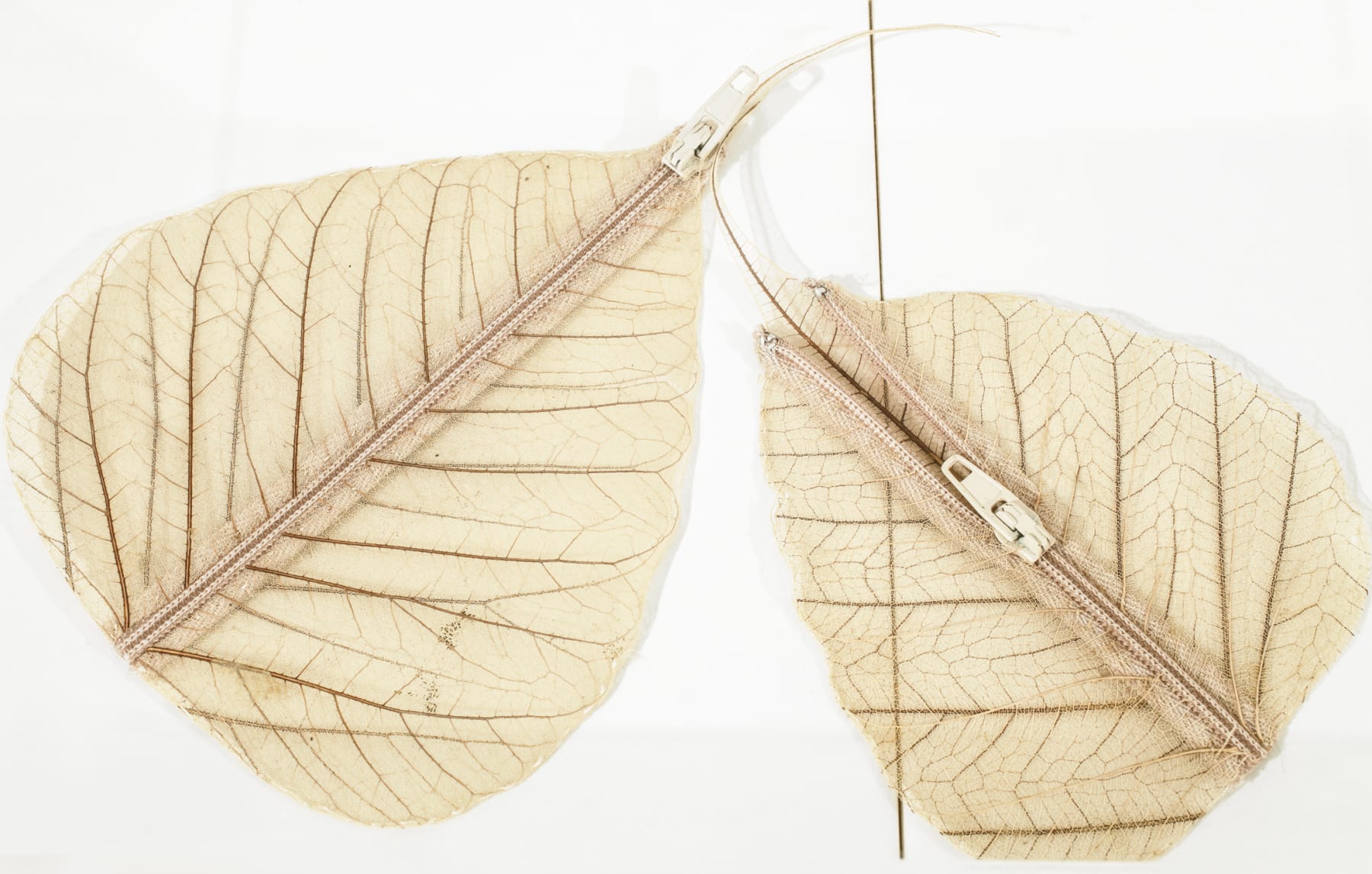 Ana Linnemann, sem título [untitled], 1997