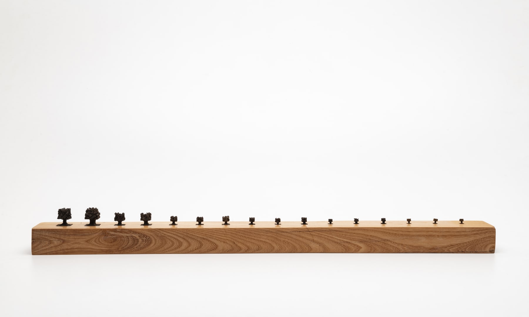 José Bento, táboa de choro, 2017