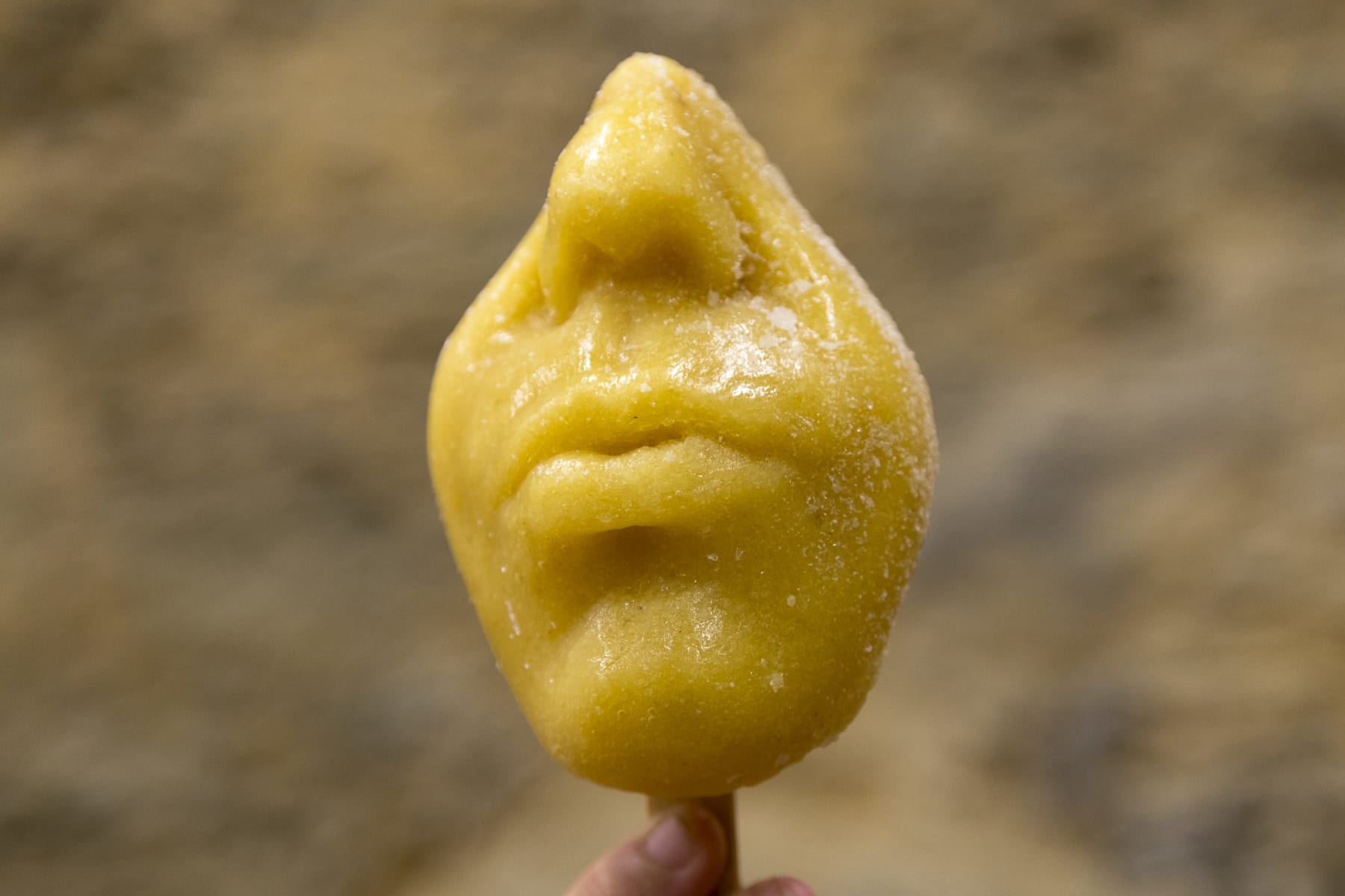 OPAVIVARÁ!, TUPYCOLÉ, 2017