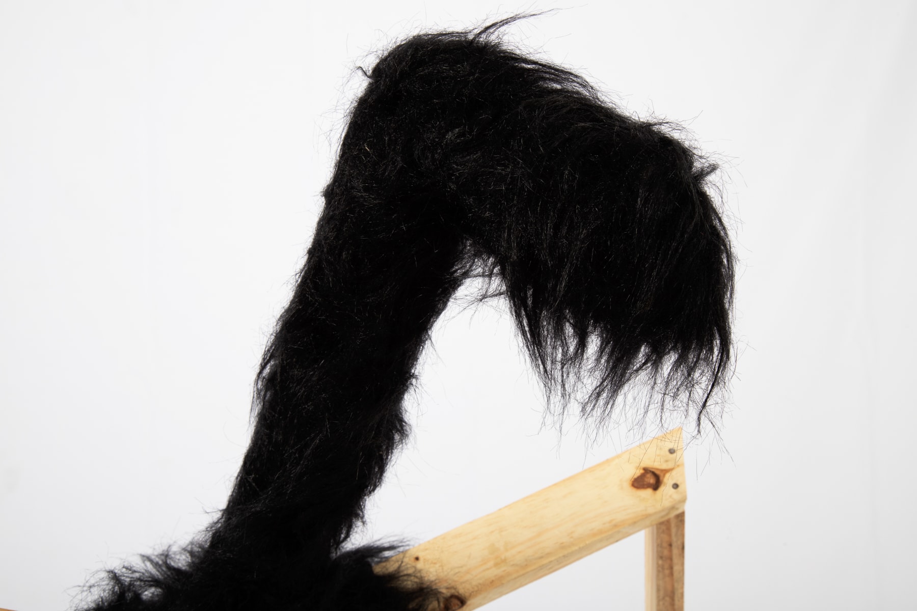 ABRE ALAS #17, Renan Soares, sem título [untitled], 2021