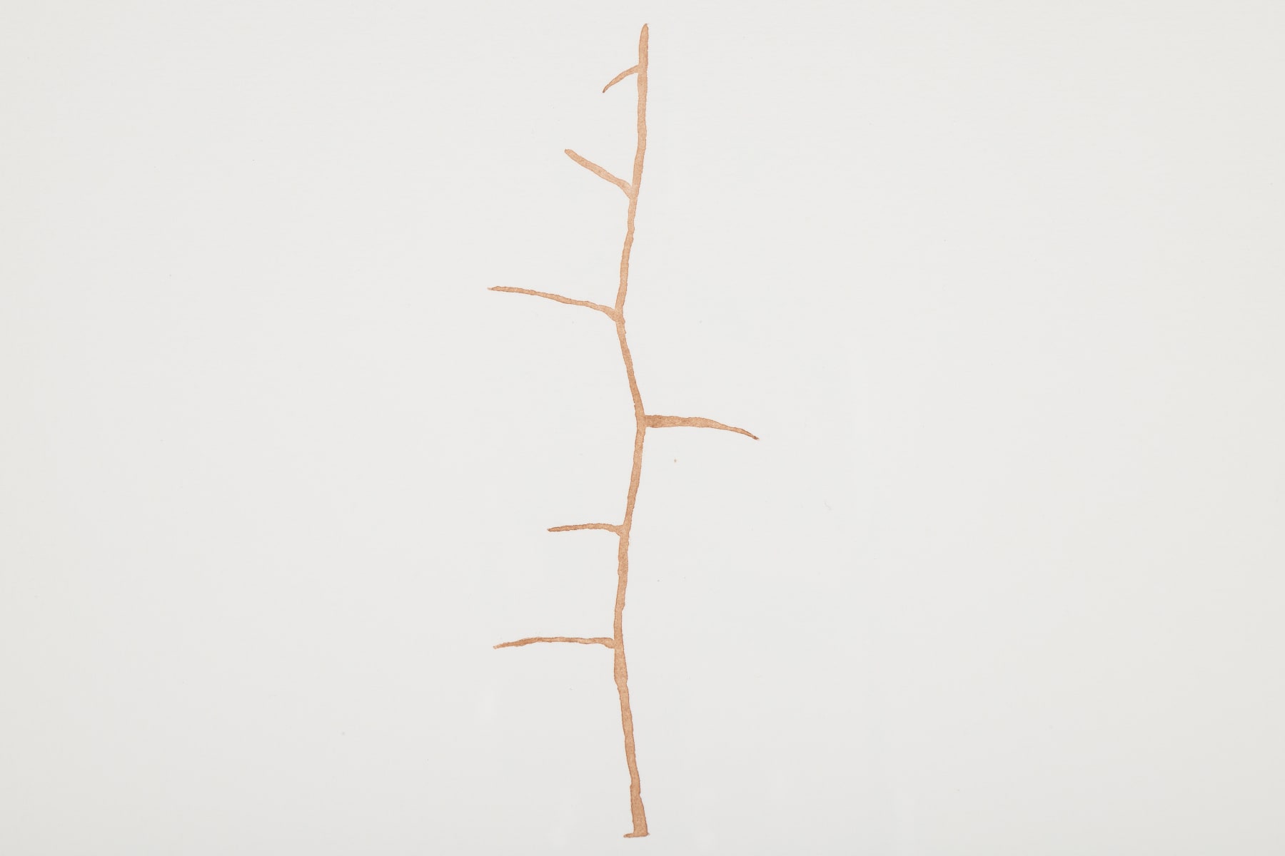 Sallisa Rosa, Sem título [Untitled], 2023