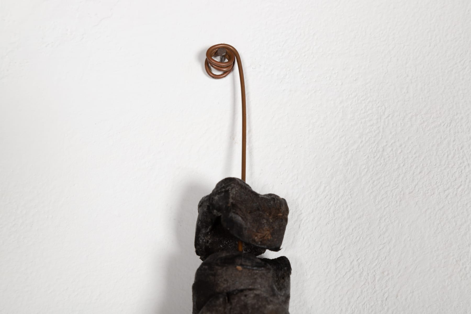 Jarbas Lopes, Vertebrado, 2023