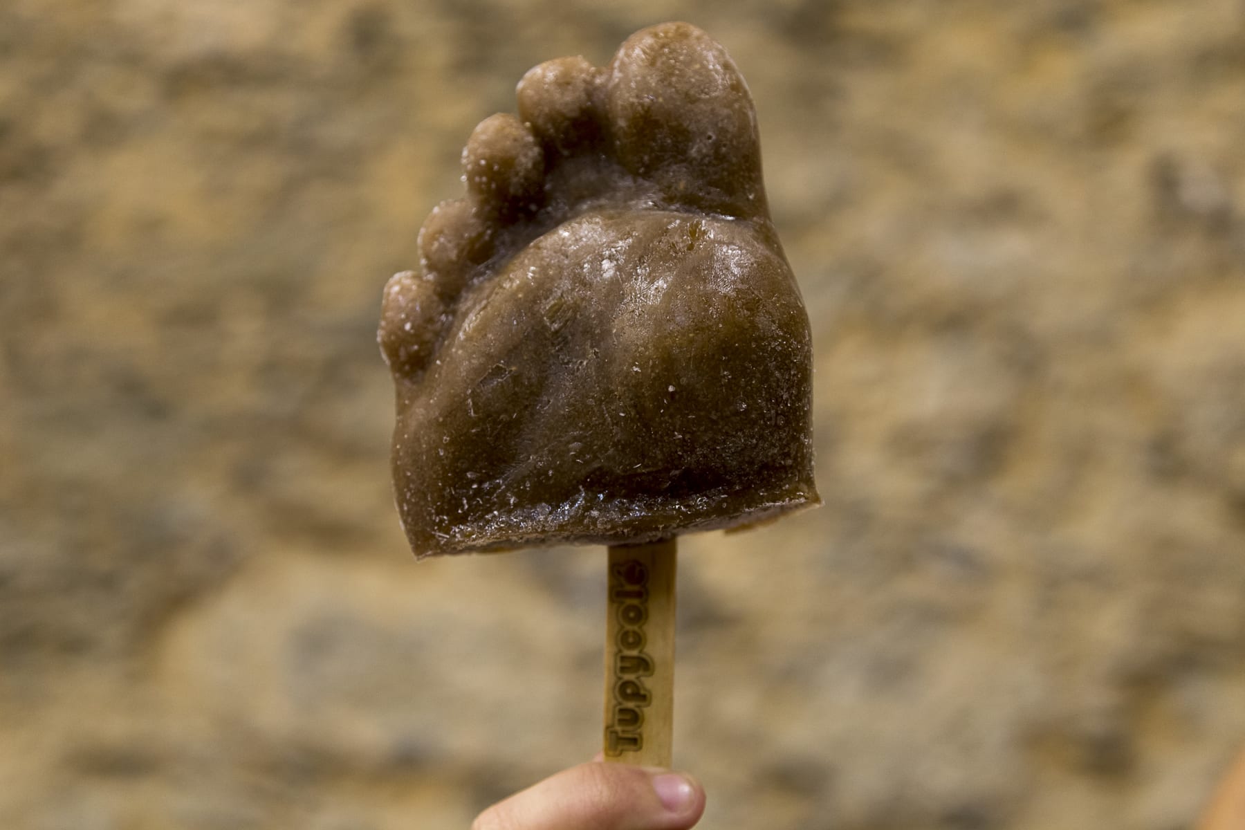 OPAVIVARÁ!, TUPYCOLÉ, 2017