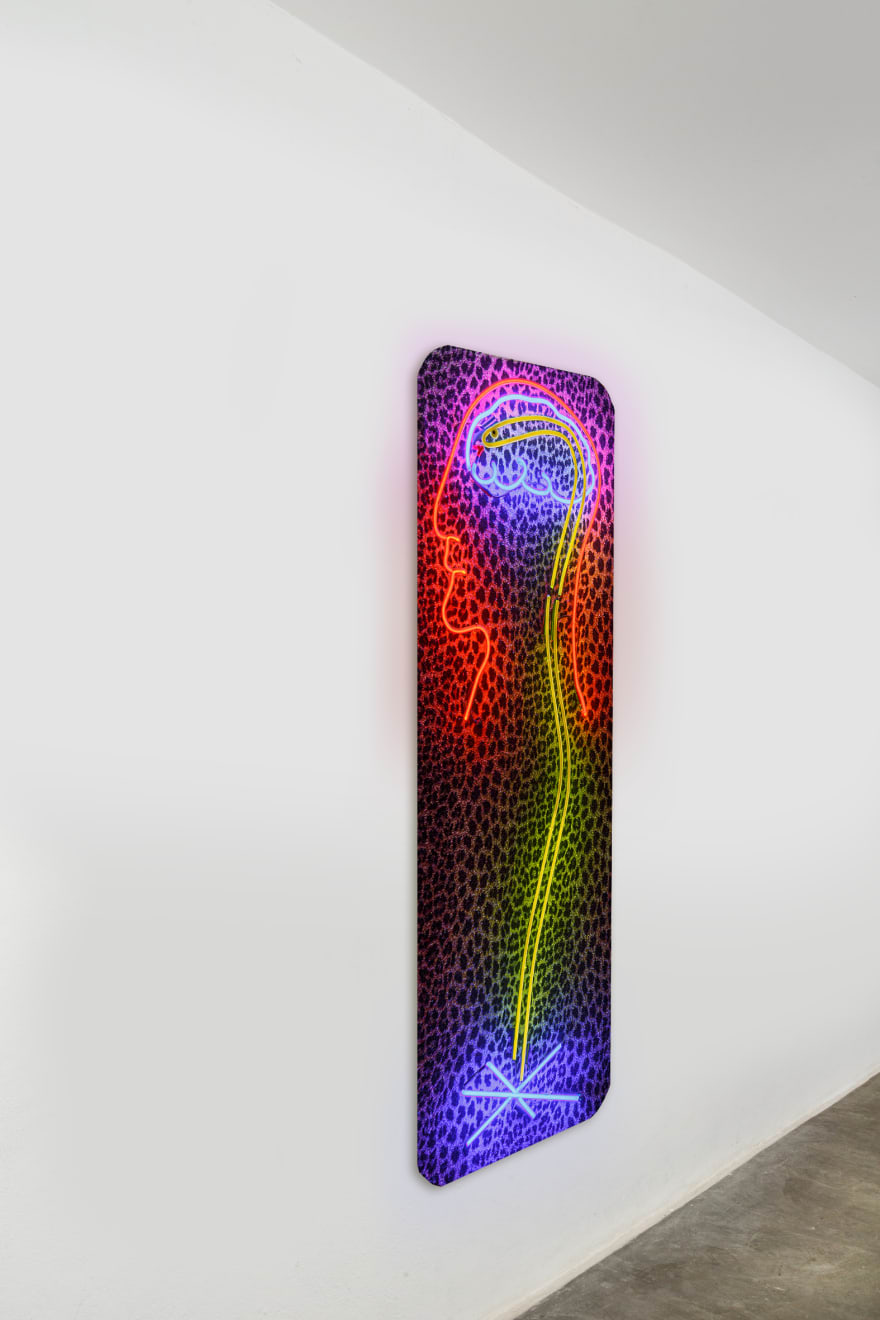 Cabelo, Sem título [Untitled], 2012