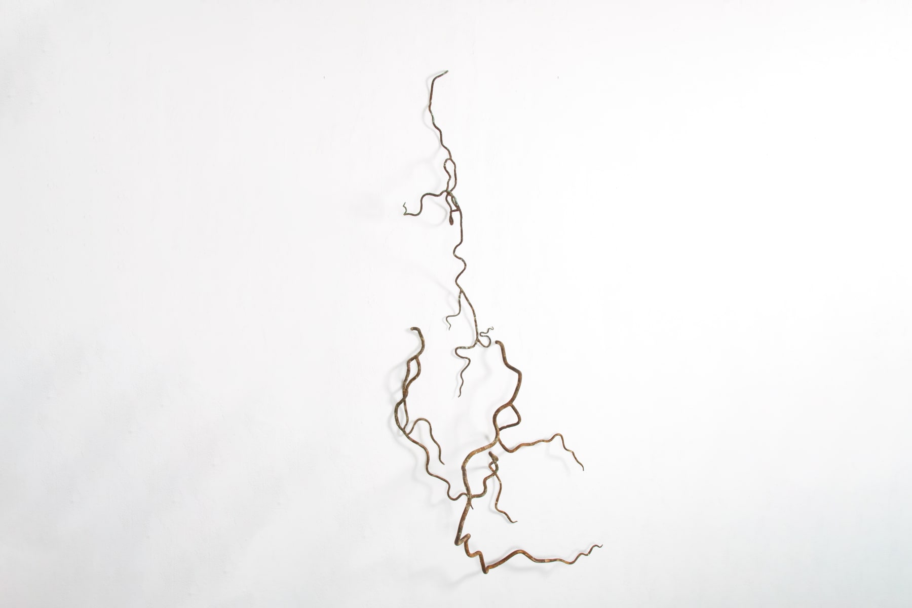 Rodrigo Torres, Vida na terra, 2022