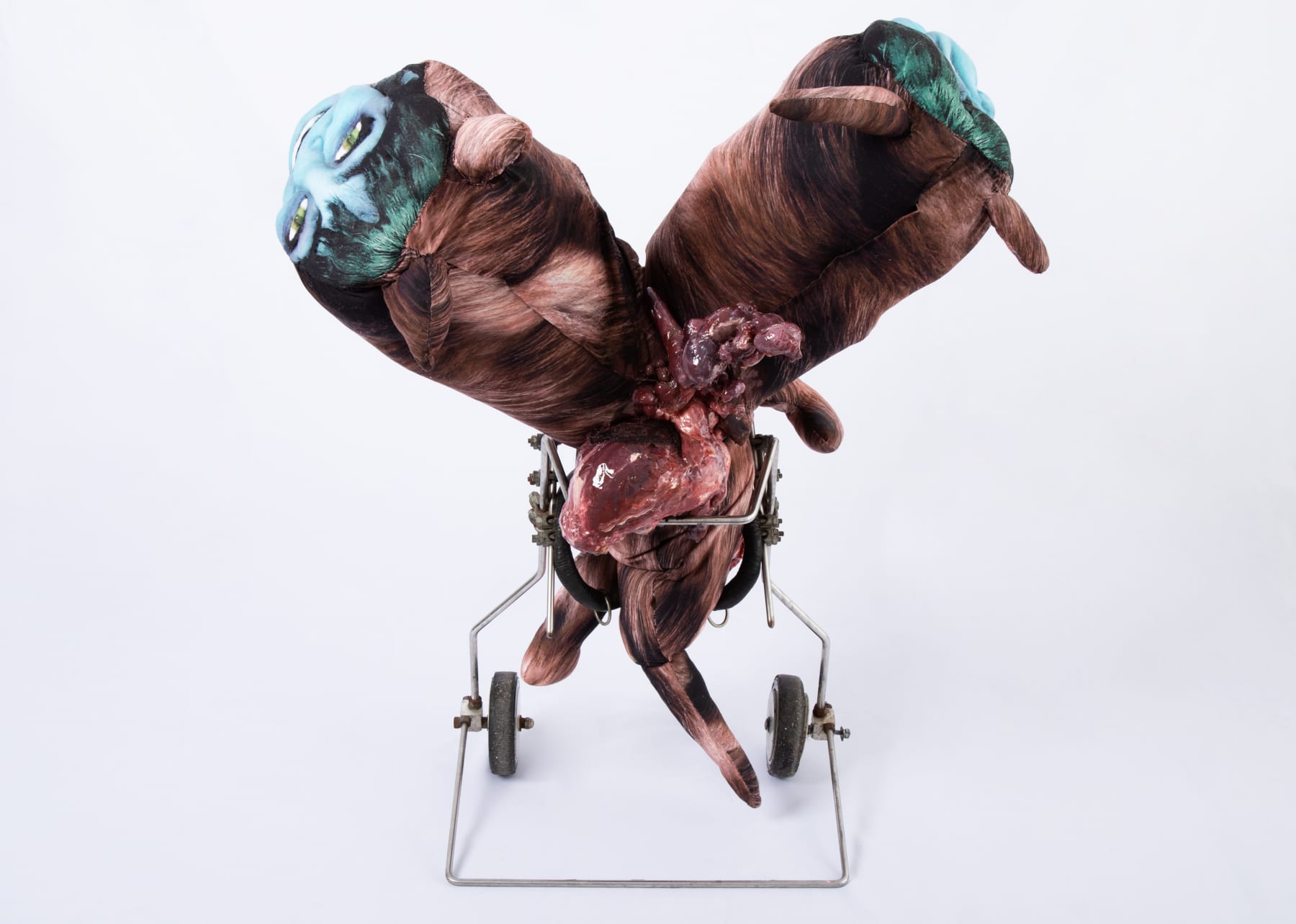 ABRE ALAS #17, ANNA, Explosão Cadelinha, 2019