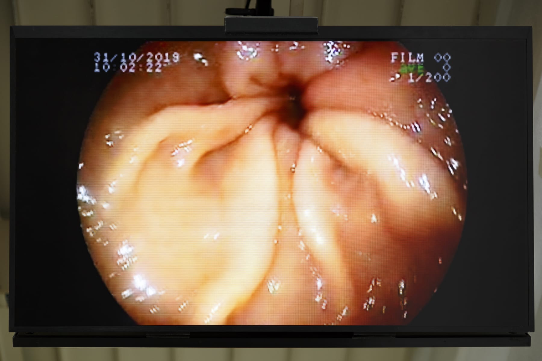 Aleta Valente, Cam Girl, 2019