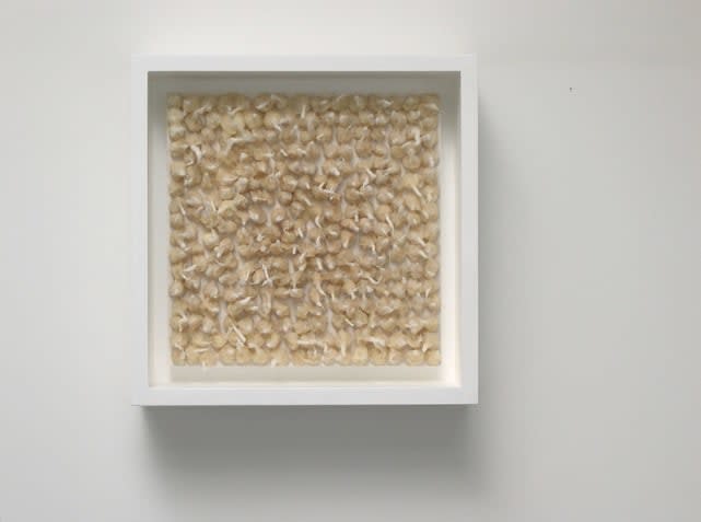 Rakuko Naito, RN2512-4-1/2-05, 2005