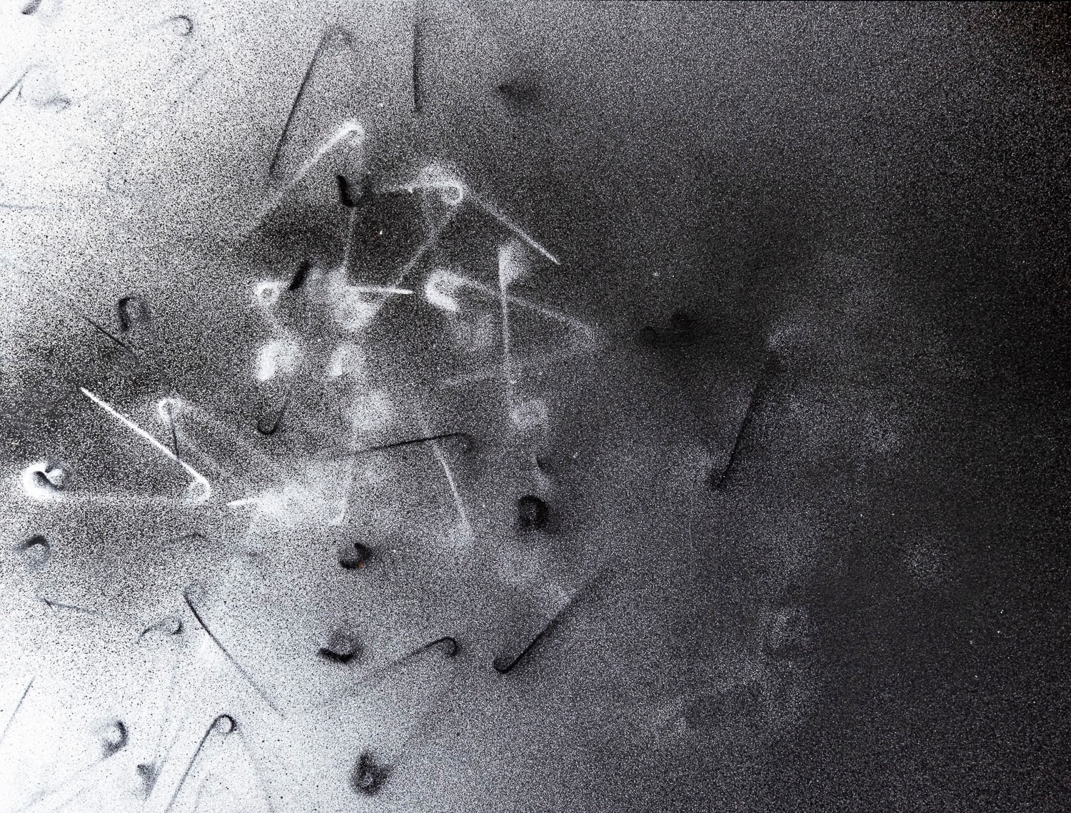 Tamiko Kawata, Tamigraph SP-13, 2024