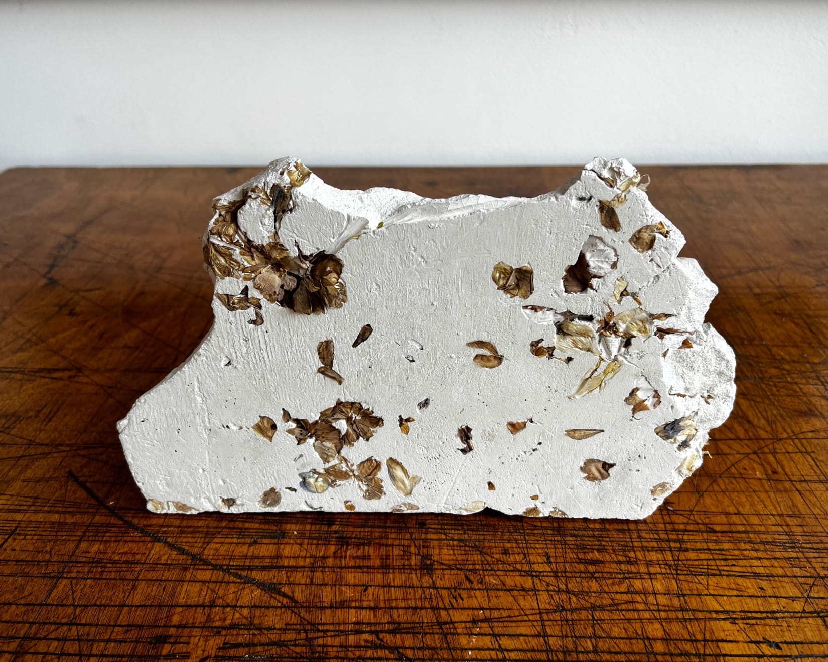 Motohiro Takeda, Untitled, 2022