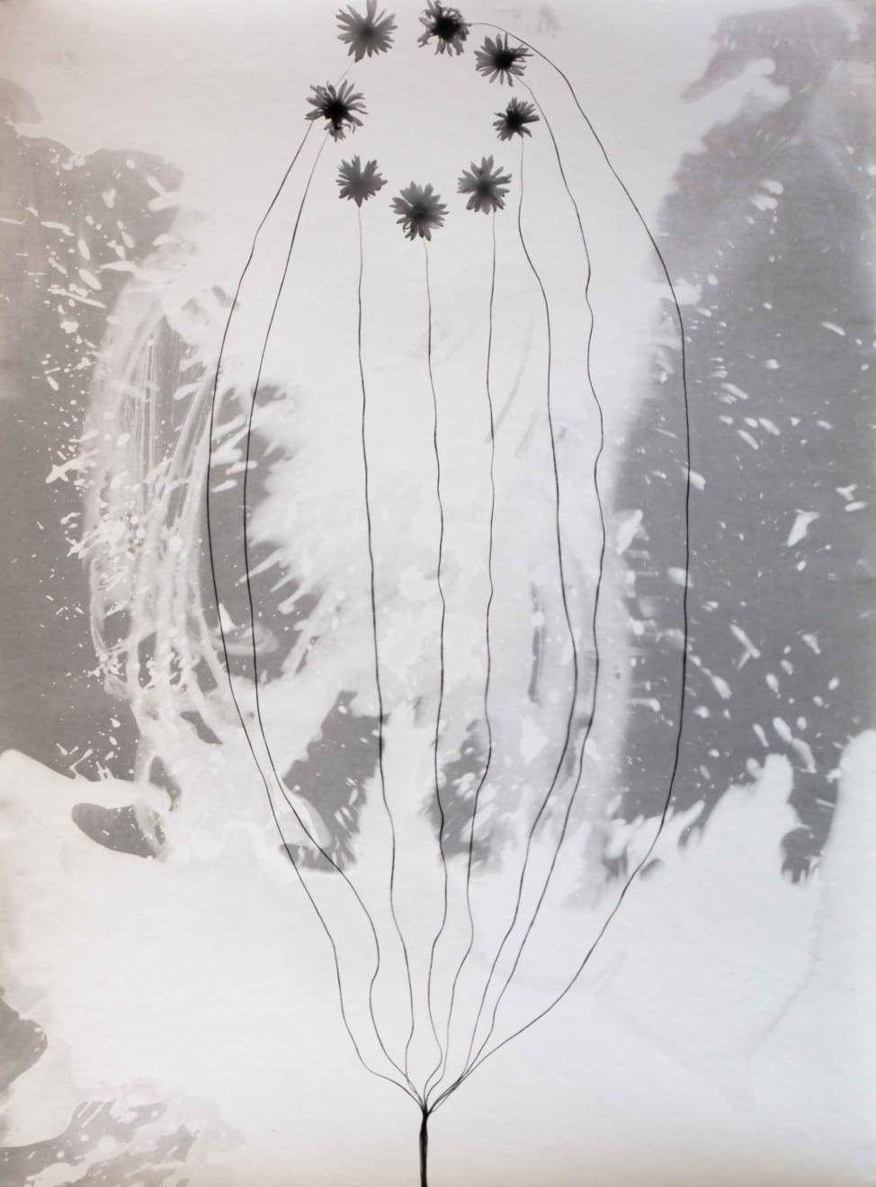 Kunié Sugiura, Filaments Ap 1, 1999