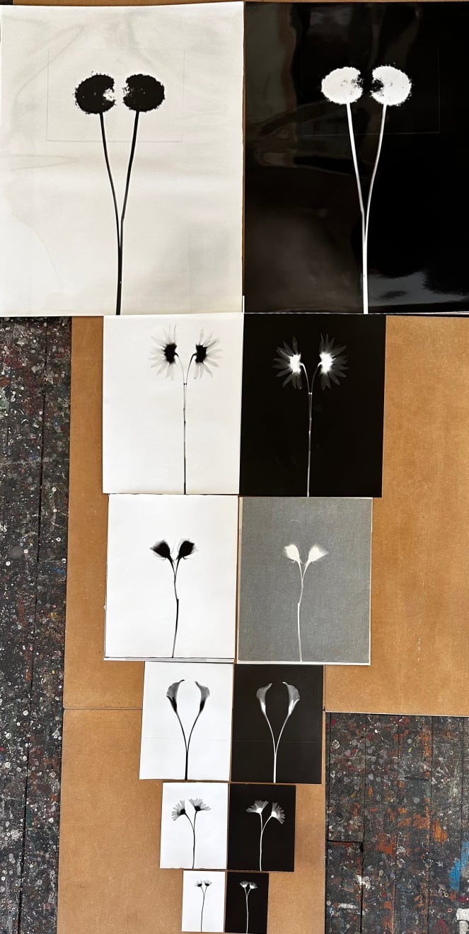 Kunié Sugiura, Upside Down Pyramid, 1995