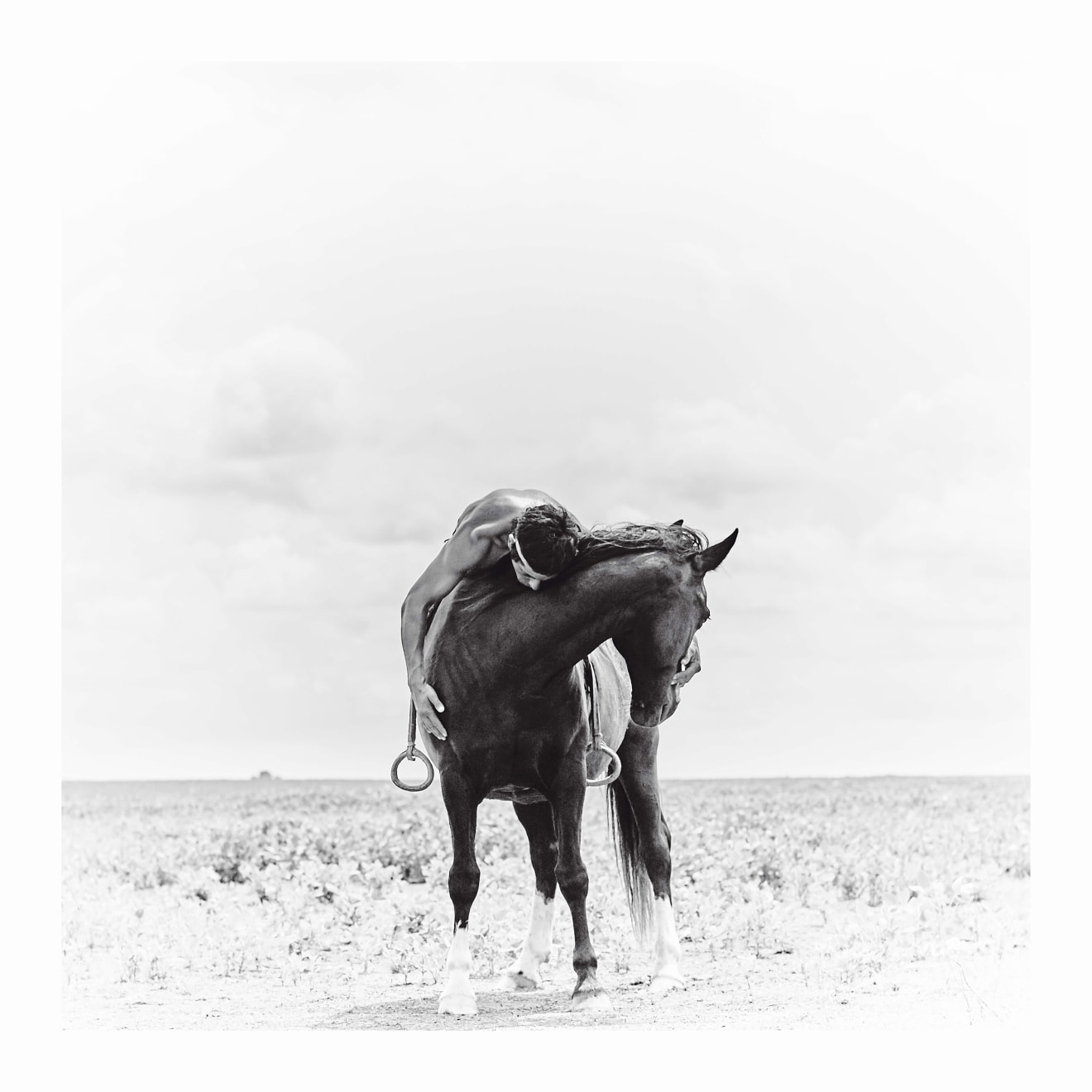 Amanda Rica Taylor, I Am A Gaucho Through and Through III, 2019