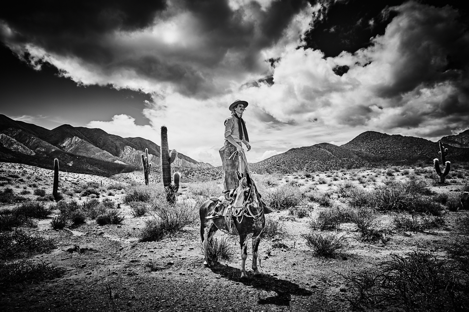 Amanda Rica Taylor, No Refuge But The Sky, 2019