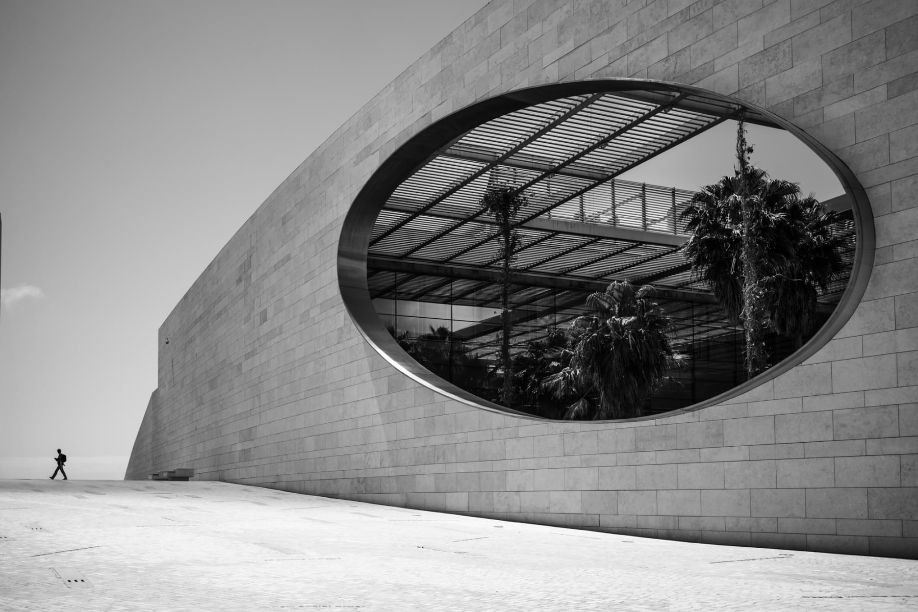 Ant Dailey, Scale - Champalimaud Foundation, 2022