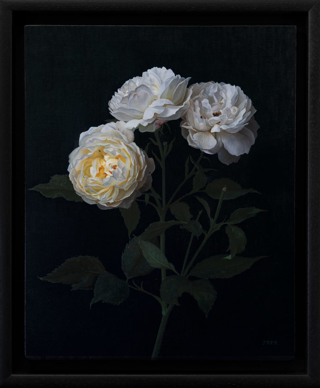 Jane Beharrell, Yellow Roses , 2024