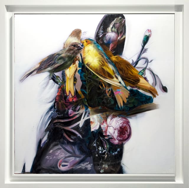 Daniel Bilodeau, Tweet, 2016