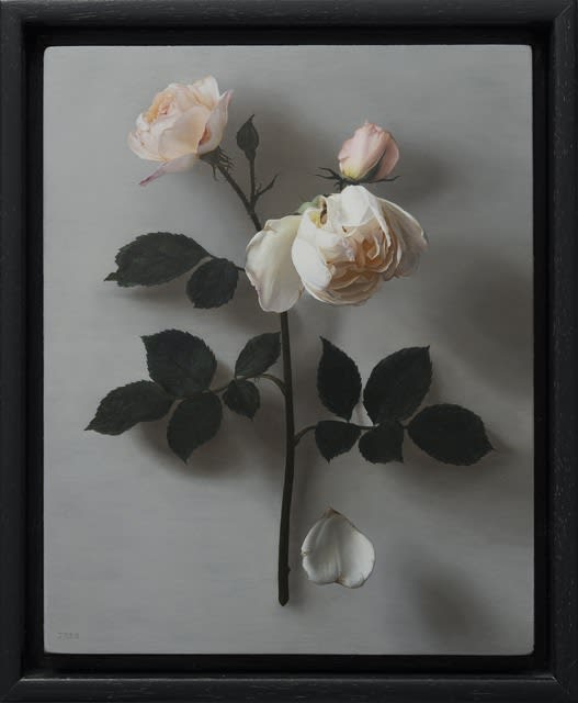 Jane Beharrell, Falling Petal, 2022