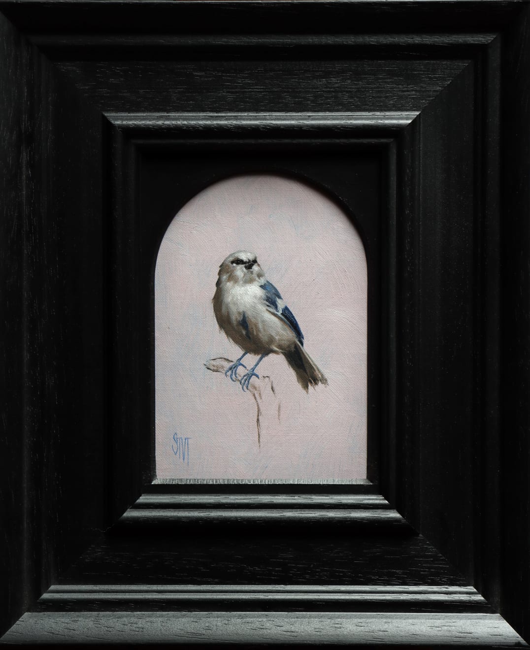 Sarah Margaret Gibson, Portrait of an Azure Tit, 2023