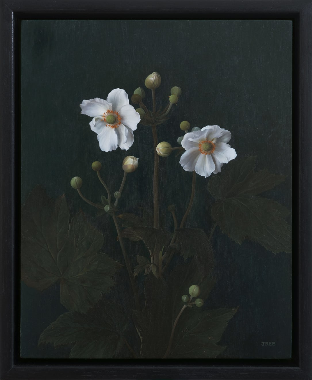 Jane Beharrell, Anemones, 2022