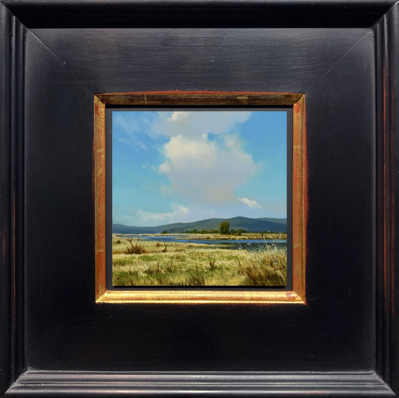Renato Muccillo, Campi D'oro, 2023