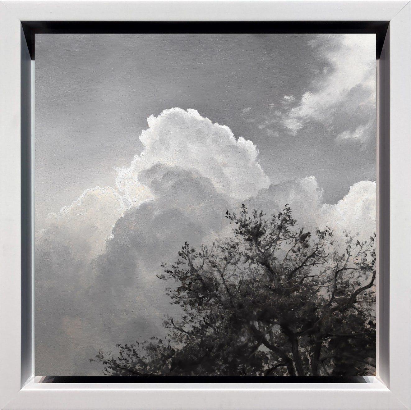 Renato Muccillo, Plum Tree with Cumulus, 2023