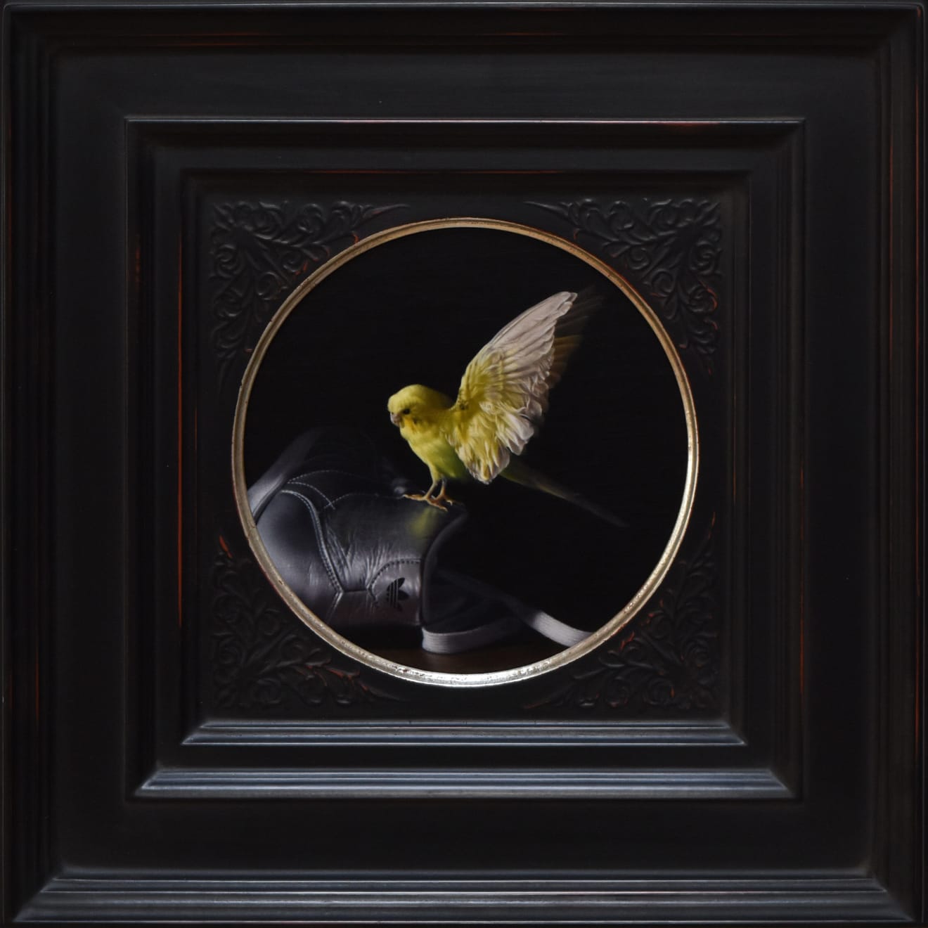 Megan Elizabeth Read, Landing, 2024