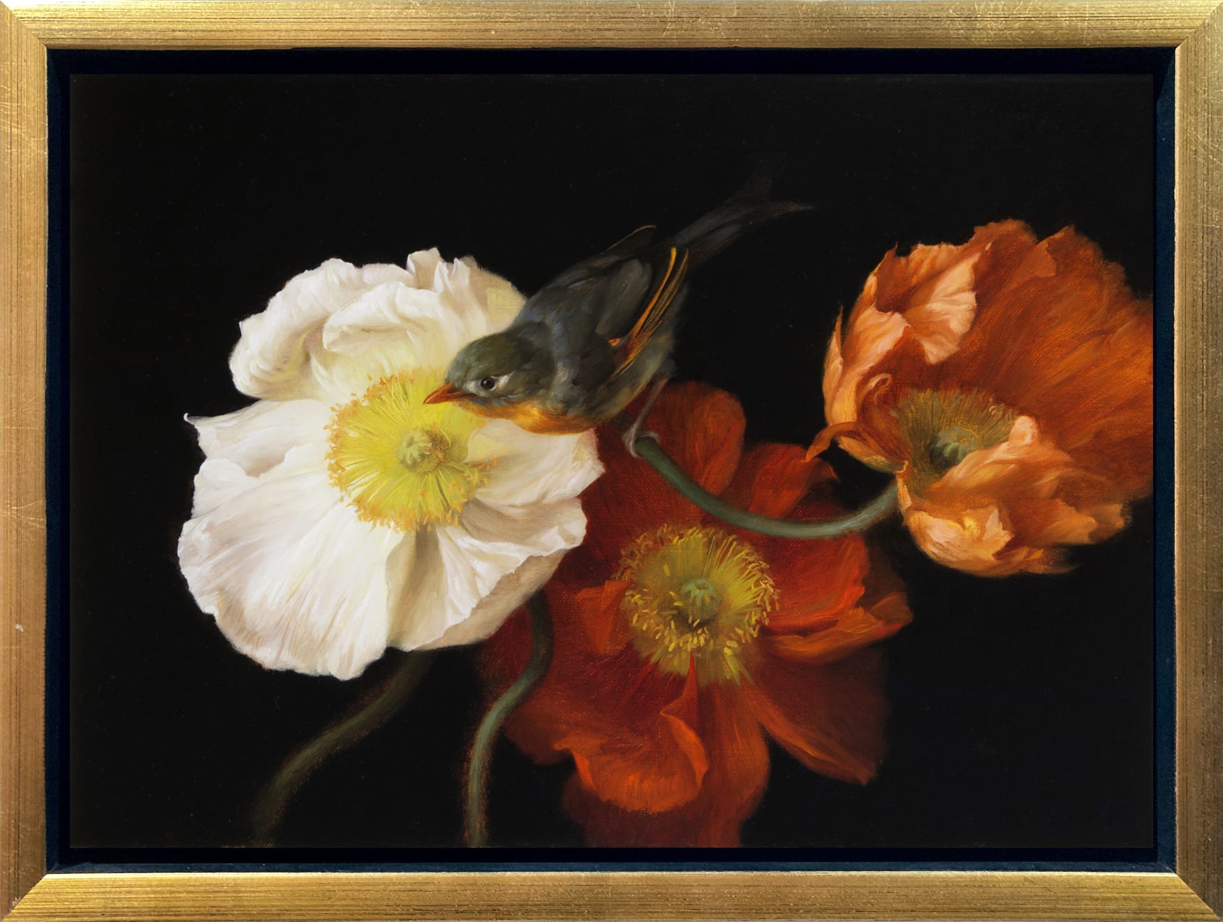 Anhelina Holembivska, Island Poppies and Nightingale, 2023