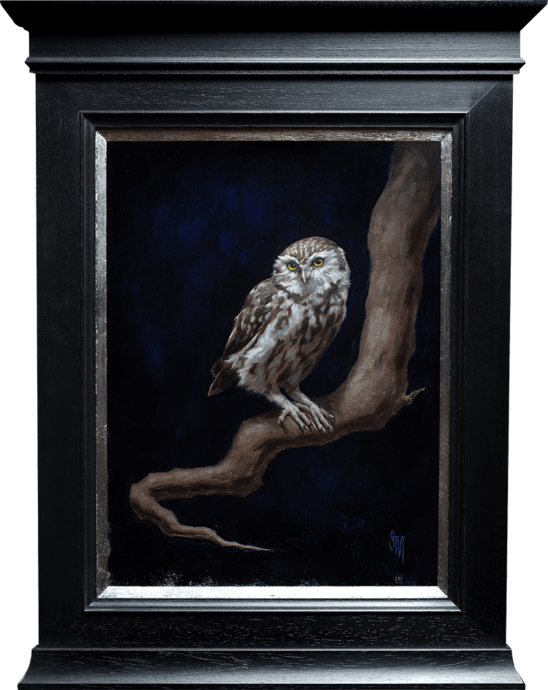Sarah Margaret Gibson, Little Owl in the Night, 2022