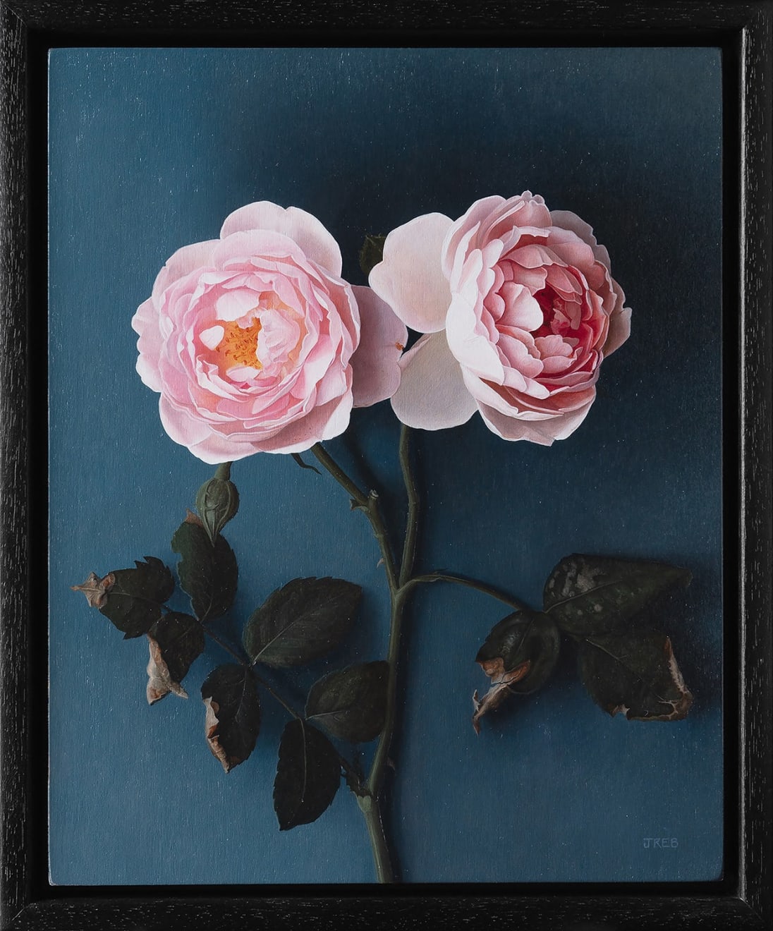 Jane Beharrell, English Roses, 2024