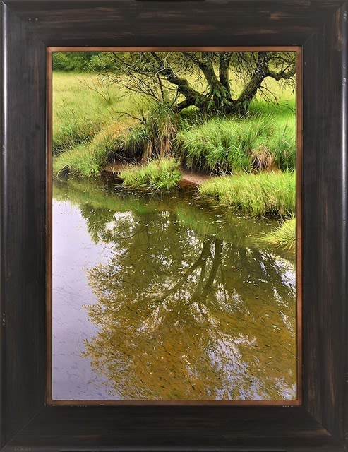 Renato Muccillo, Inverted Willow, 2021