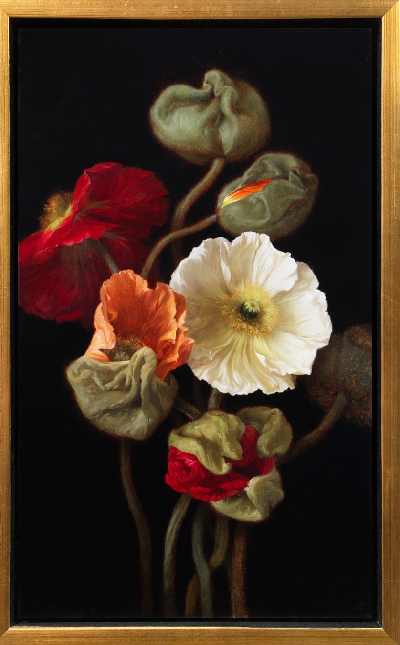 Anhelina Holembivska, Island Poppies, 2023
