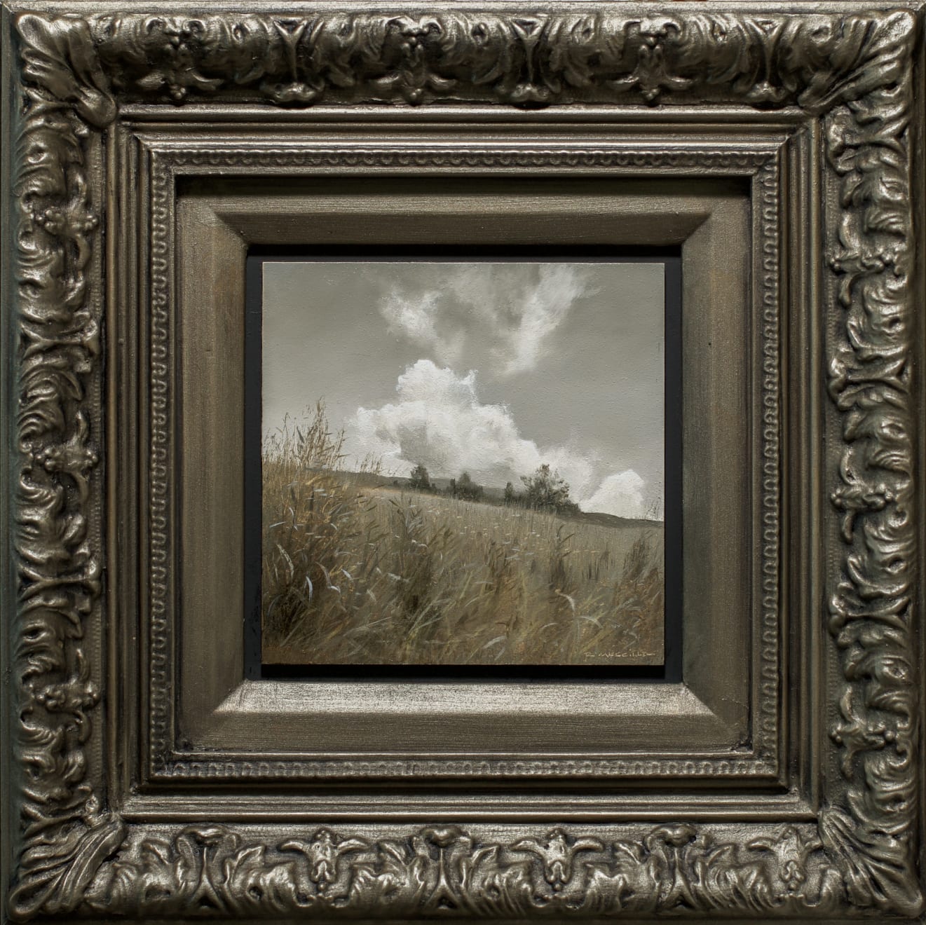 Renato Muccillo, Buckerfield Knoll in August, 2023