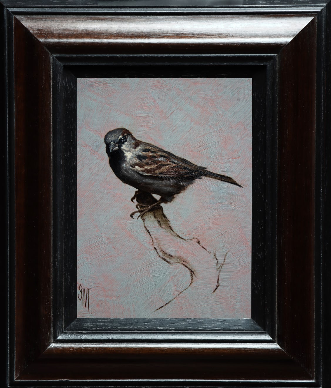 Sarah Margaret Gibson, Portrait of a Sparrow, 2022