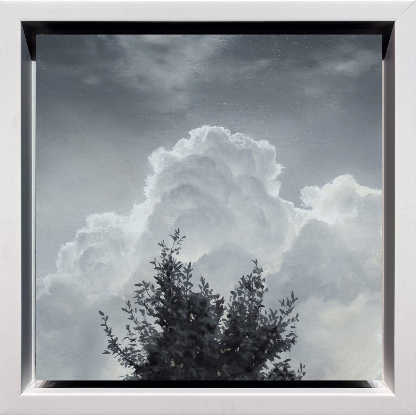 Renato Muccillo, Cumulus and Laurel, 2023