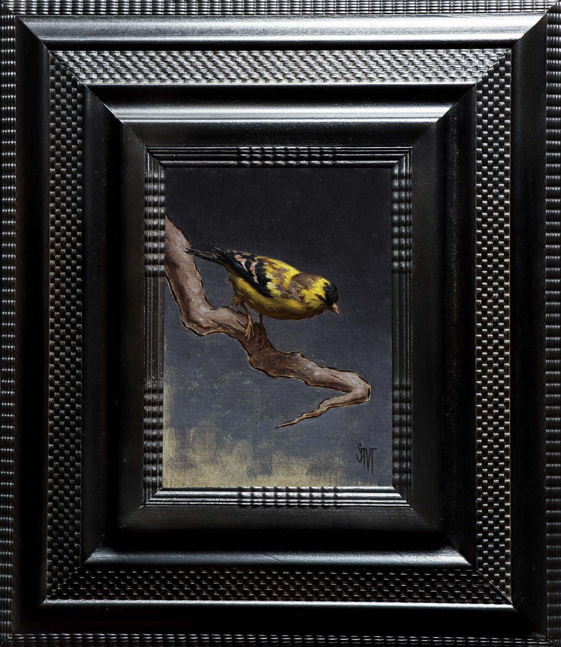 Sarah Margaret Gibson, American Goldfinch at Dusk, 2022