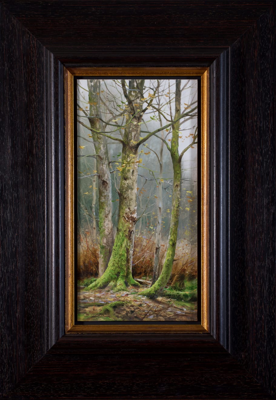 Renato Muccillo, Green Belt in Autumn, 2024