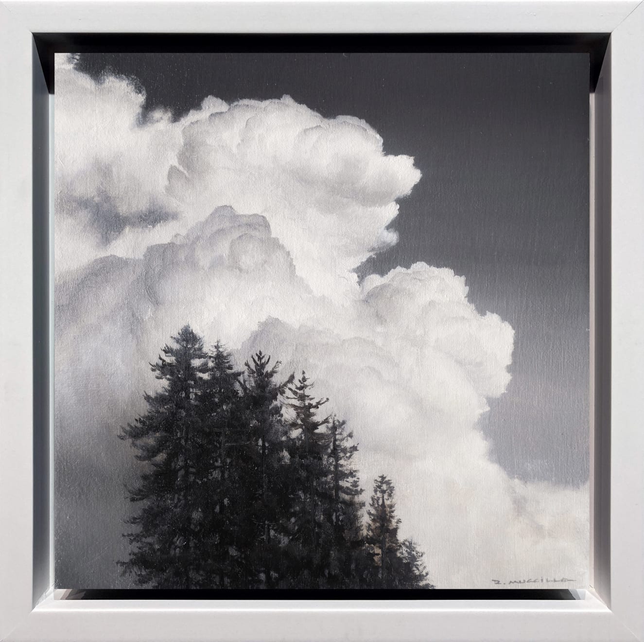 Renato Muccillo, Conifers and Cumulus, 2023