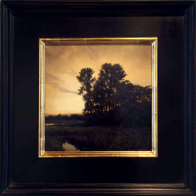 Renato Muccillo, The Muted Grove, 2017