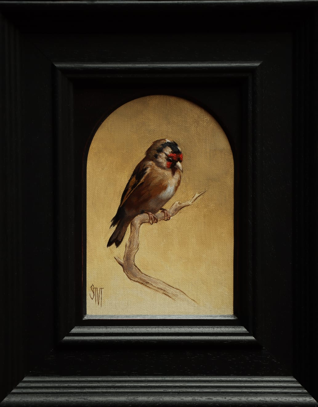 Sarah Margaret Gibson, Sleeping Goldfinch, 2024